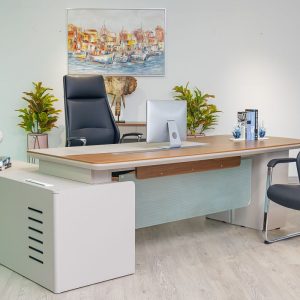 51MJS009 – EXECUTIVE DESK